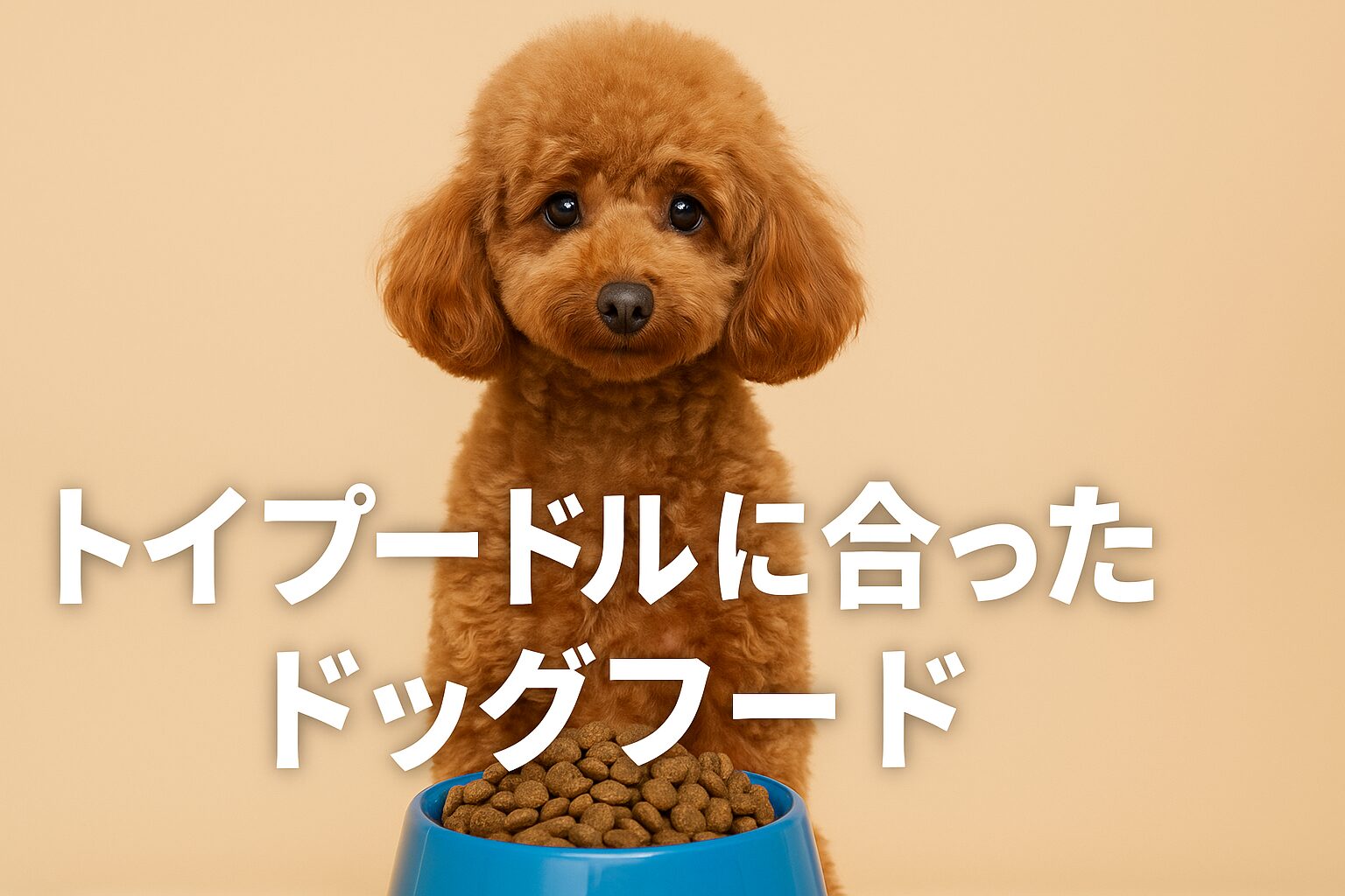 トイプードルに合ったドッグフード